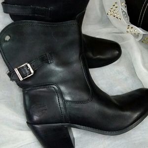 •} Harley-Davidson {•